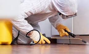 Emergency Pest Control Services in Palos Verdes Estates, CA